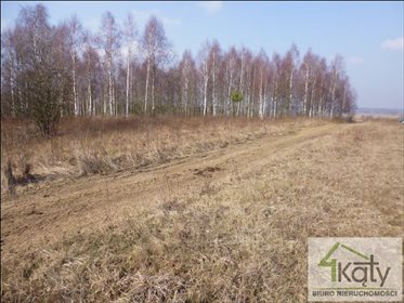 Działka rolna na sprzedaż Czarny Kierz, Czarny Kierz, Czarny Kierz 16 500m2 Foto 2