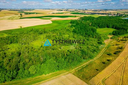 działka na sprzedaż 6400m2 działka Ciechocin