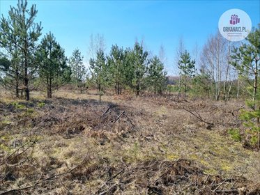 Działka rolna na sprzedaż Biesówko, Biesówko 4 093m2 Foto 7