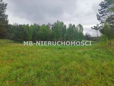 Sprzedam działkę 9002 m² z mediami, lasem i planem osiedla działka Nowe Włóki