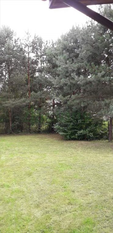 Działka siedliskowa na sprzedaż Kiczki Pierwsze 3 000m2 Foto 2