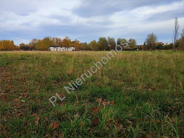 działka na sprzedaż 3585m2 działka Chrzanów Duży