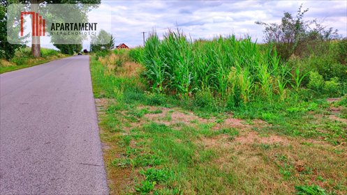 Na sprzedaż działka 3300 m² przy asfaltowej drodze w Będzitówku działka Będzitówek
