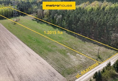 Działka 1,2 ha przy lesie z podziałem, potencjał! działka Gołąbek