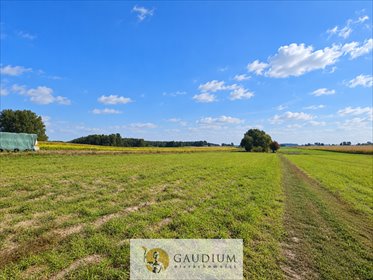 Sprzedam działkę 600 m² w Torzewie z WZ na dom jednorodzinny działka Torzewo