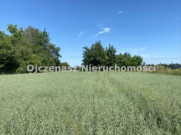 działka na sprzedaż 2718m2 działka Kozielec
