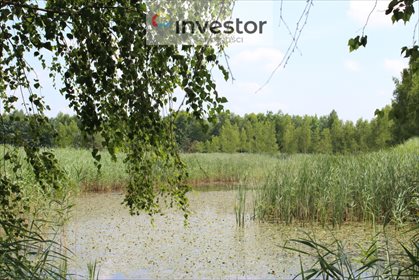 działka na sprzedaż 48000m2 działka Budy Głogowskie