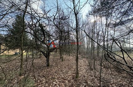 Działka 1572 m² z mediami i pozwoleniem - polecam! działka Głosków