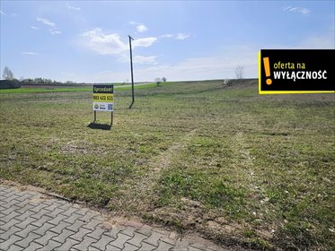 Sprzedam działkę budowlaną od 2500 m² w Bielinach działka Napęków