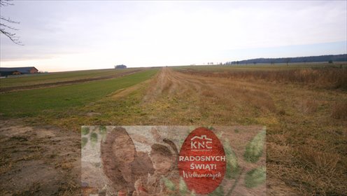 działka na sprzedaż 24000m2 działka Kępa