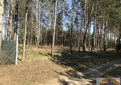 działka na sprzedaż 624m2 działka Czekanka