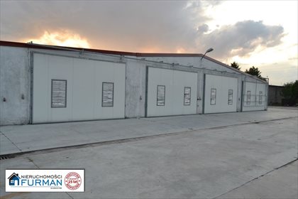 Magazyn na wynajem Gołańcz, Smolary 700m2 Foto 5