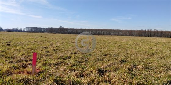 Działka pod dom w Boleminie, 981 m2, media w drodze działka Bolemin