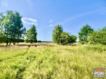 działka na sprzedaż 11000m2 działka POBIEROWO OKOLICA