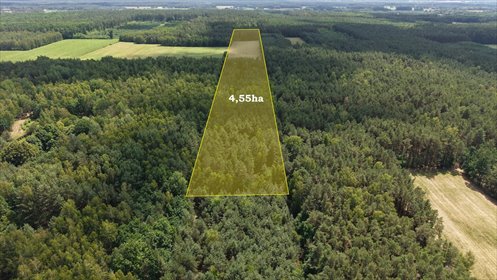 Działka rolno-leśna 4,55 ha w Zielonej - polecam działka Zielona