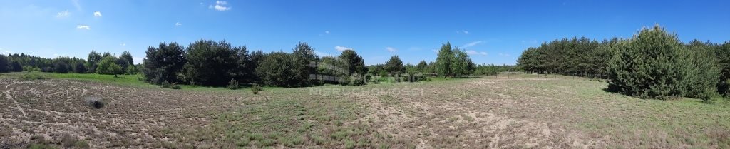 Działka inwestycyjna na sprzedaż Praga 14 000m2 Foto 5