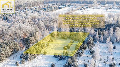 działka na sprzedaż 2000m2 działka Kolonia Góra Puławska