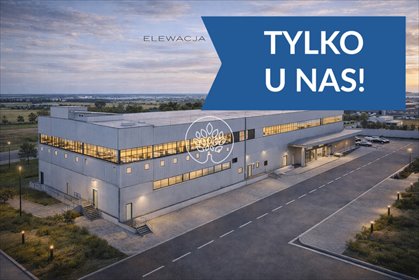 Polecam nowoczesny magazyn 14 394 m² z fotowoltaiką i dużym potencjałem magazyn Toruń, Rubinkowo