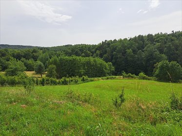 działka na sprzedaż 4765m2 działka Dobra