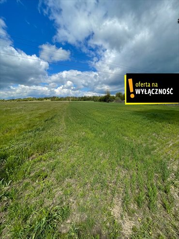 działka na sprzedaż 13200m2 działka Maciejowice