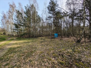 działka na sprzedaż 1000m2 działka Sokolniki-Las