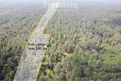 działka na sprzedaż 18500m2 działka Krzyżanówka