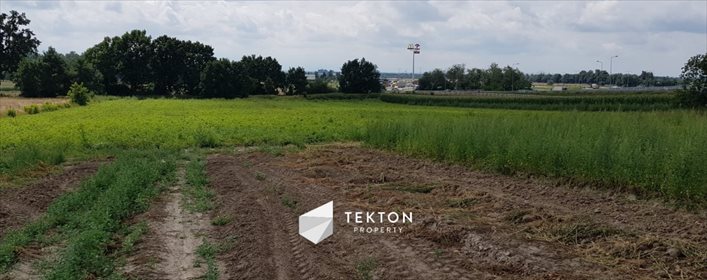 Działka przemysłowo-handlowa na sprzedaż Wysoki Kościół, Parkowa 1 000m2 Foto 4