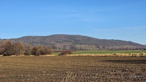 działka na sprzedaż 1200m2 działka Książnica