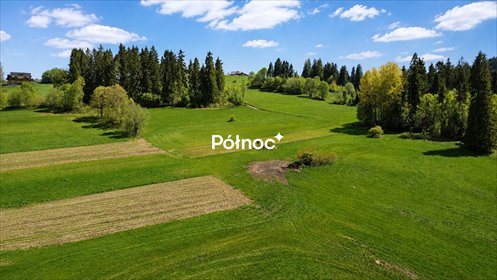 Działki rolne w Brzegach pod lasem, 86 arów, cisza działka Brzegi, Wierchowa
