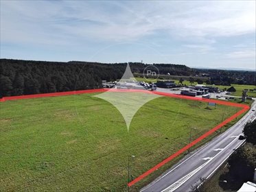 działka na sprzedaż 27800m2 działka Łąka