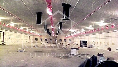 Magazyn na wynajem Stargard, Kluczewo 1 680m2 Foto 4