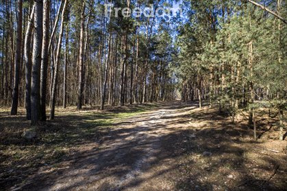 działka na sprzedaż 5895m2 działka Łętownia