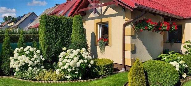 dom na sprzedaż 74m2 dom Mirowo Duże