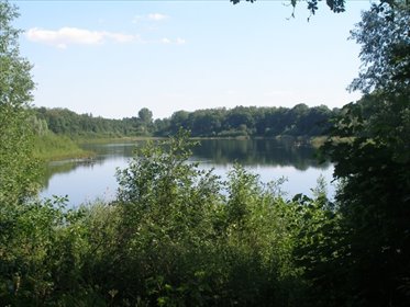 Działka rekreacyjna nad jeziorem - 3004 m² w Parlino działka Parlino