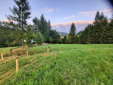 Działka budowlana na sprzedaż Juszczyna 5 372m2 Foto 5