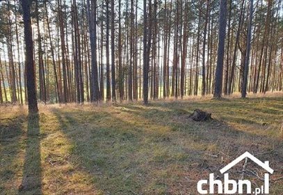 działka na sprzedaż 3251m2 działka Swornegacie