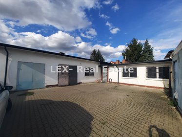 lokal użytkowy na wynajem 283m2 lokal użytkowy Pruszków