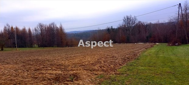 działka na sprzedaż 1800m2 działka Tyczyn, Hermanowa