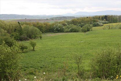 działka na sprzedaż 25442m2 działka Ogrodzona