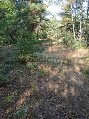 działka na sprzedaż 1490m2 działka Chotomów