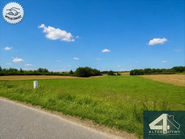 Działka 9 900 m² z warunkami zabudowy - widok na Klasztor działka Jeleniów, Jeleniów