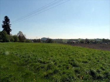 Działka rolna na sprzedaż Karłowiec, okolice Świerdadowa 5 300m2 Foto 3