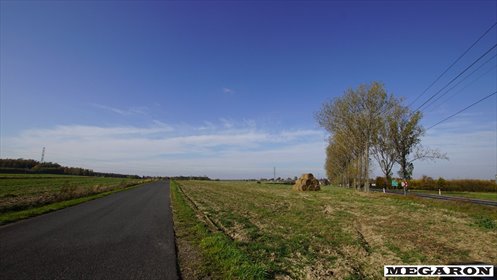 Działka przemysłowa z potencjałem (6 ha) przy drodze krajowej działka Jaworzno, Jaworzno Bankowe