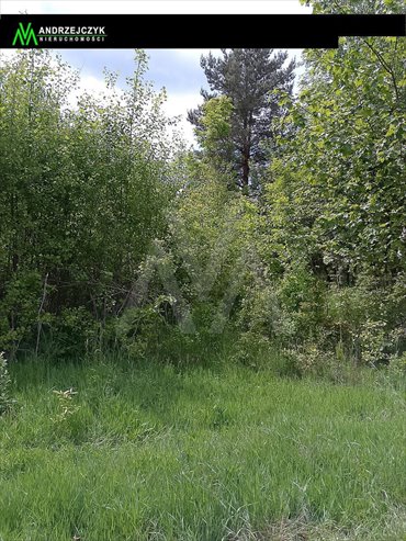 Działka 3444 m² z widokiem na pola i las (warunki zabudowy) działka Graniczna Wieś, POLNA DROGA