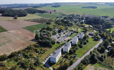 Unikalna działka rezydencjonalna 2,7 ha z WZ polecam działka Sędzice