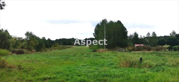 działka na sprzedaż 7200m2 działka Jasionka