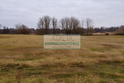 Działka pod usługi sportu, turystyki i zieleń — 13 000 m² działka Grójec