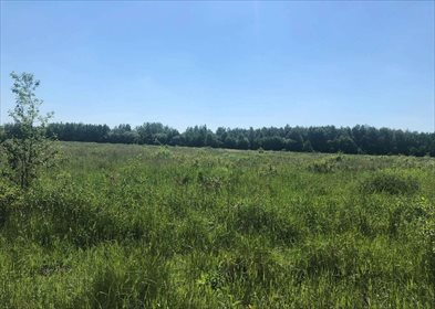 działka na sprzedaż 1300m2 działka Górki-Izabelin, ul. spacerowa