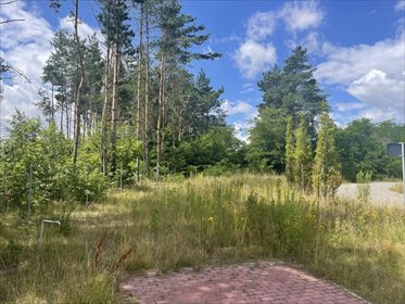 Duża działka w Łodzi – gotowa na Twój dom działka Łódź