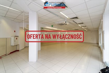 Lokal użytkowy na wynajem Trzcianka 338m2 Foto 5